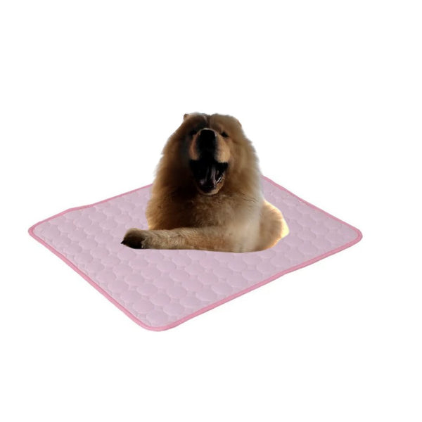 mesh-cloth-pink